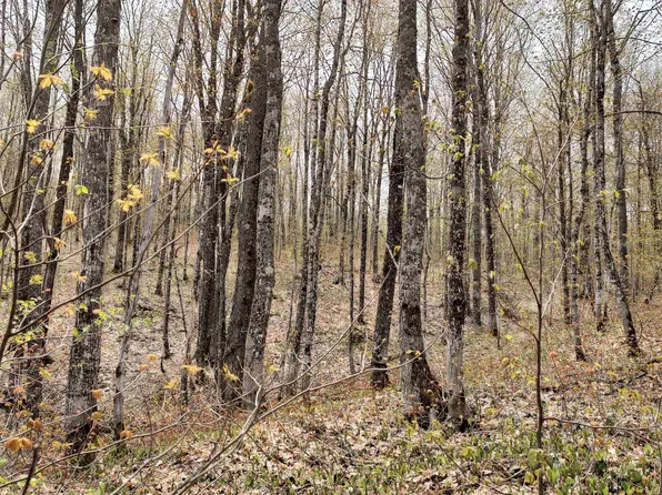 Holappa Rd, Atlantic Mine, MI 49905