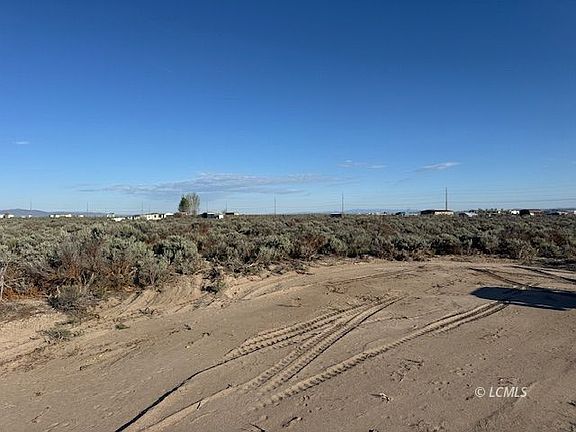 4th image of Bark Loop
