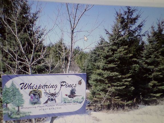 Walk thru Whispering Pines