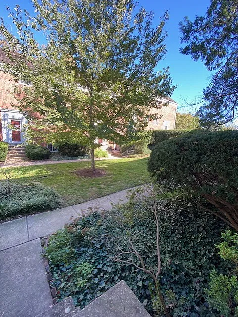 2 bed, 930 sqft, $2,400 — Photo 3