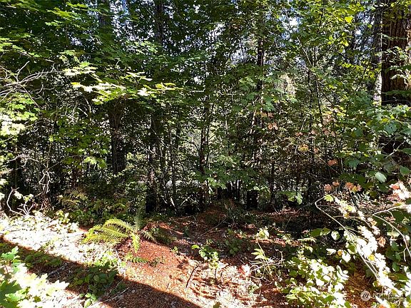 5th image of 1761 NE Tahuya River Dr