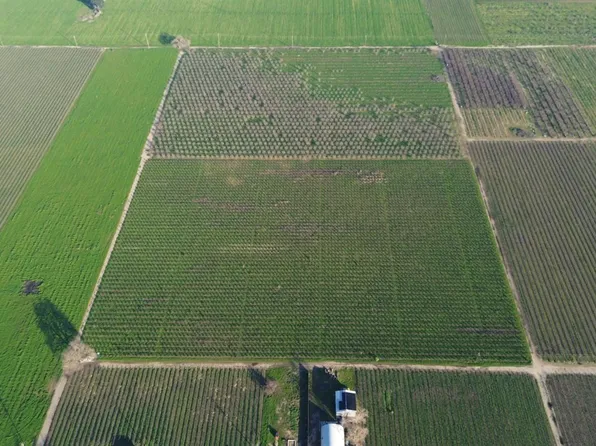 15910 N Locust Tree Rd, Lodi, CA 95240