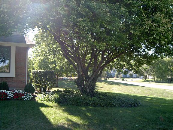4th image of 9501 Moorgate Ct