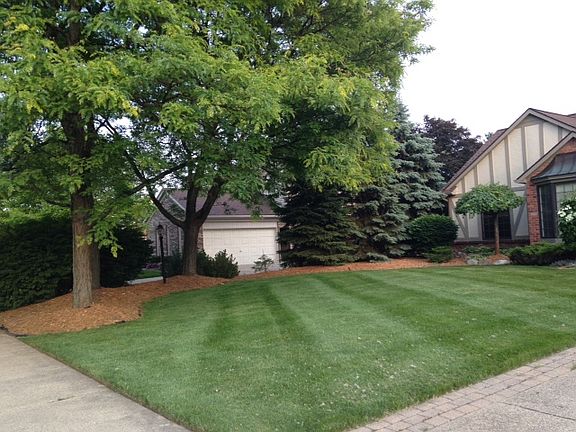3rd image of 188 Eckford Dr