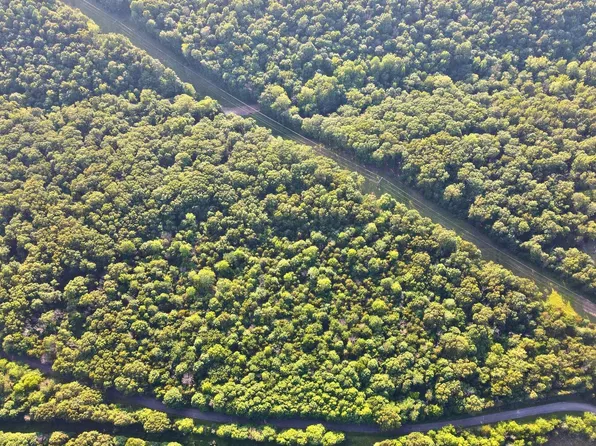 0 Pulleys Mill Rd, Goreville, IL 62939