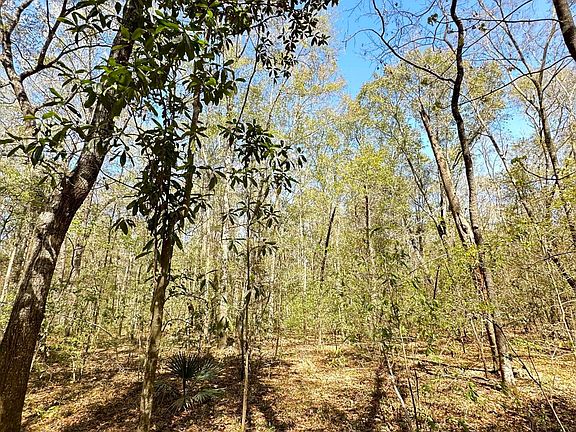 5th image of 5194 Kuzia Rd