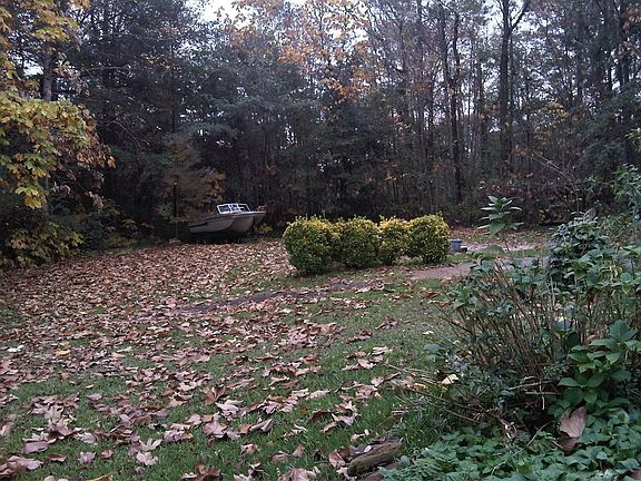 Huge Backyard