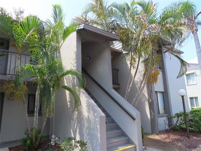 2341 Lake Heather Heights Ct #2341, Dunedin, FL, 34698