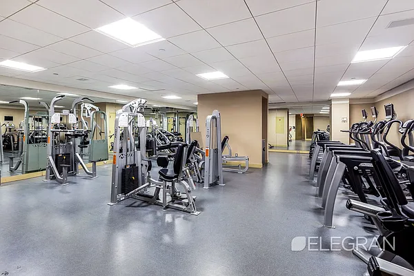 Rented by (Legacy) Elegran | media 27