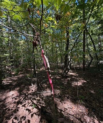 3rd image of 0 Hancock Mill Rd