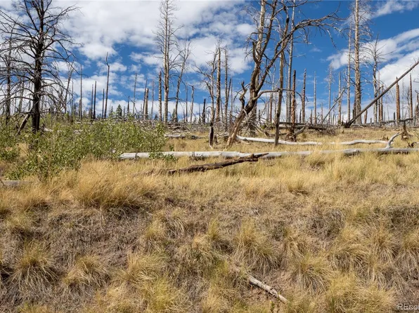 Lot 2748 Grojean Drive LOT 2748, Fort Garland, CO 81133