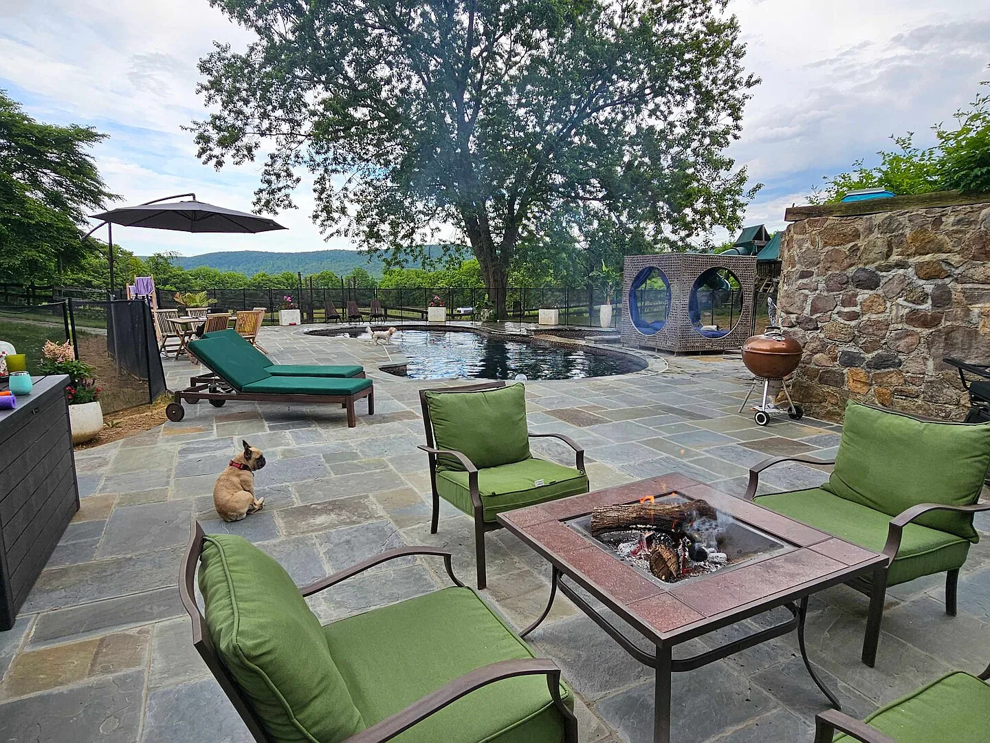 Vinewood Estate Luxury Pool and Vineyard Retreat — Photo 3
