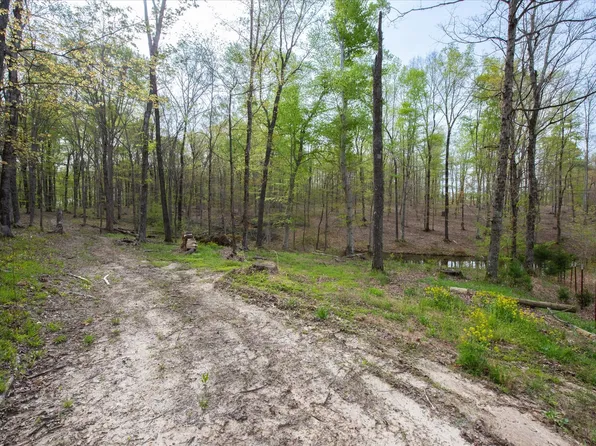 0 Norris Hollow Rd, Vanleer, TN 37181