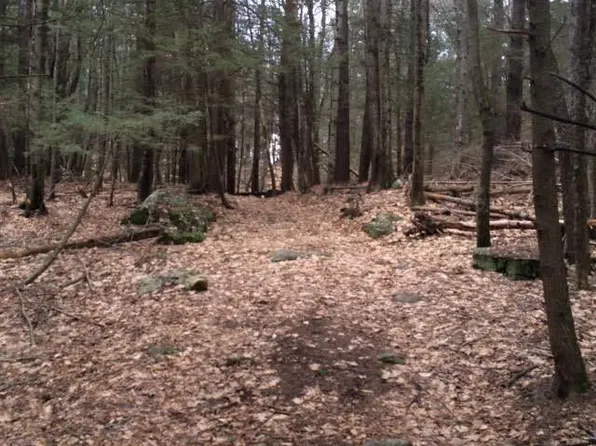 0 Riverton Road, Hartland, CT 06027