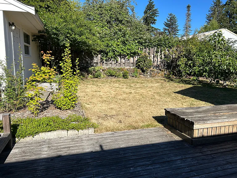 Back deck and yard area.