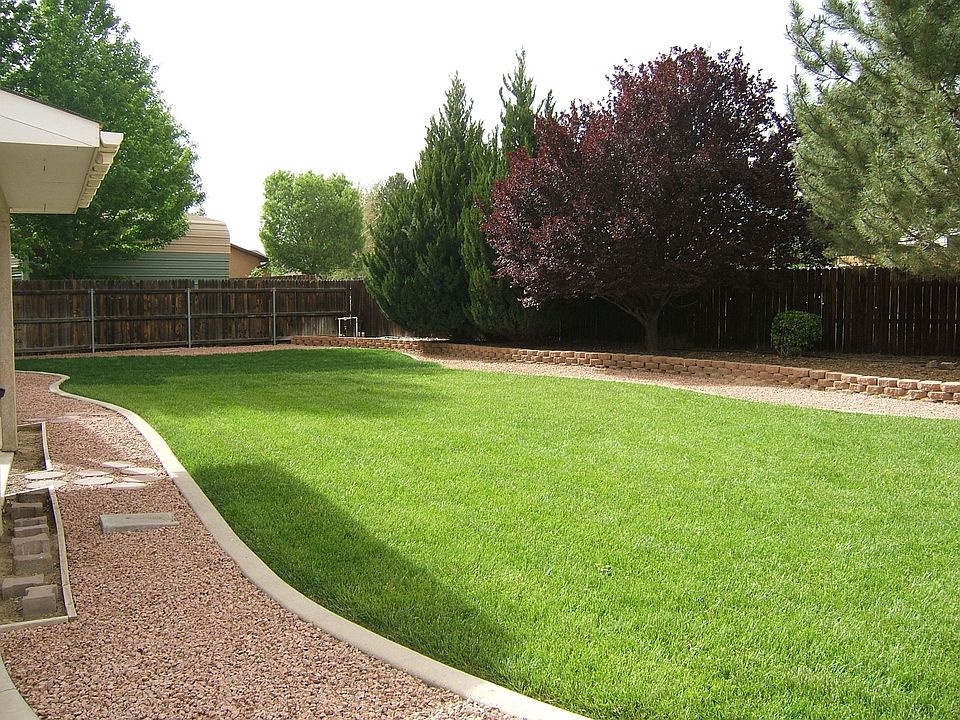 Brand new sod