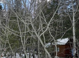 42 Fawn Meadow Ln, Winthrop, WA 98862