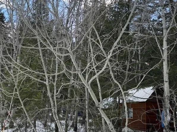 42 Fawn Meadow Lane, Winthrop, WA 98862