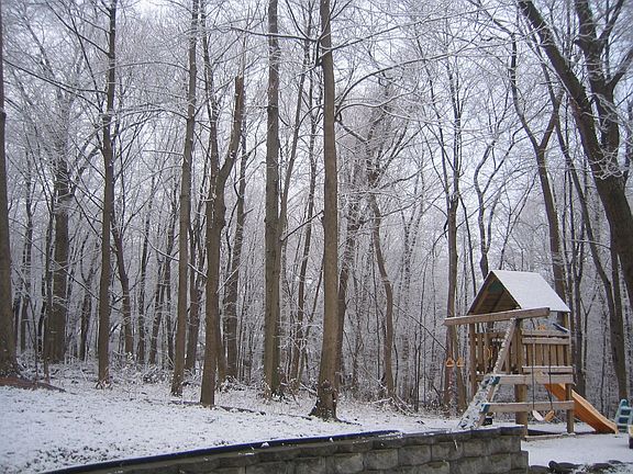 Backyard View from Kitchen