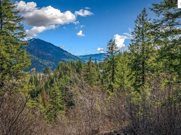 Nna G8 Forest Highland, Sandpoint, ID 83864