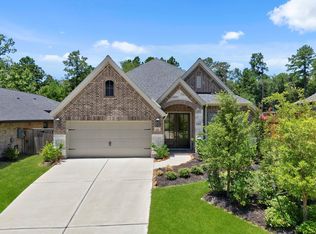 228 W Netleaf Ct, Montgomery, TX 77316