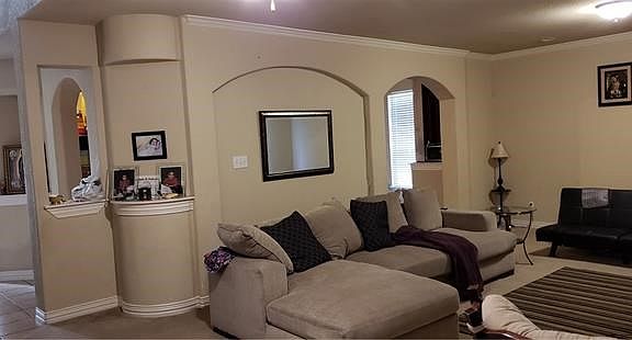 Arches on wall view to living area.