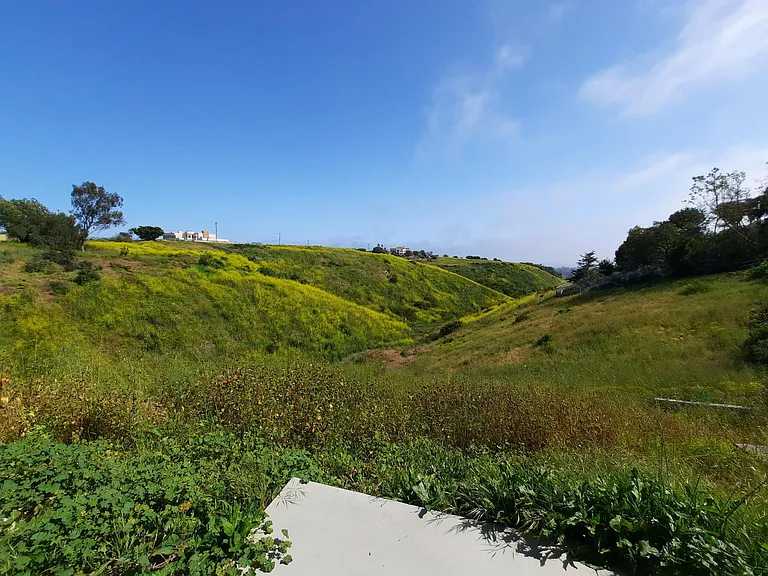 5906 Kanan Dume Rd — Photo 3