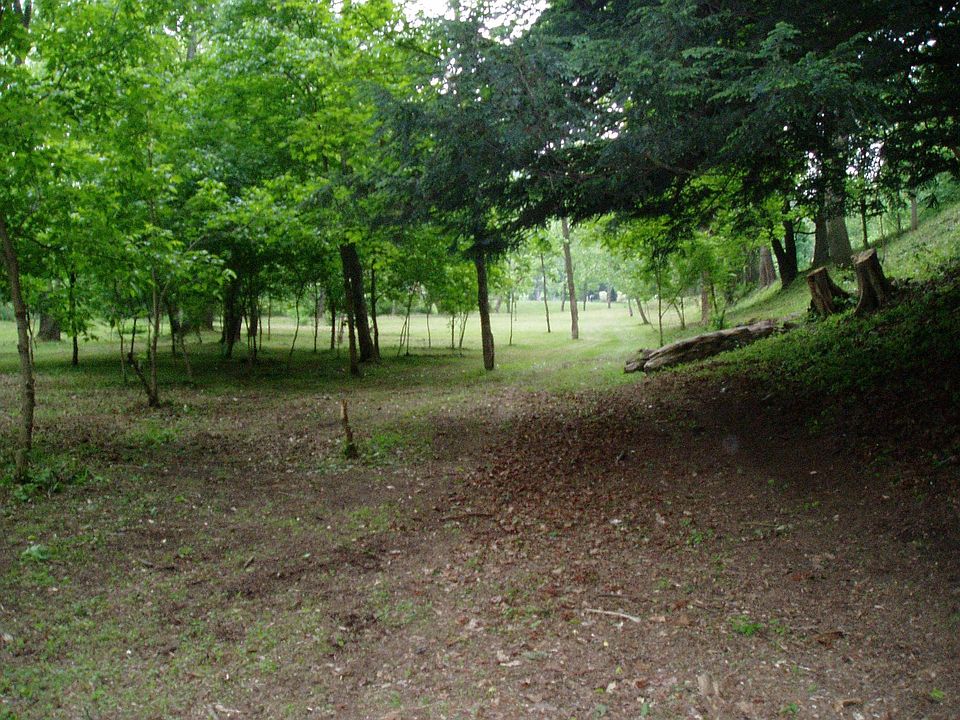 Home sits on 3 acres