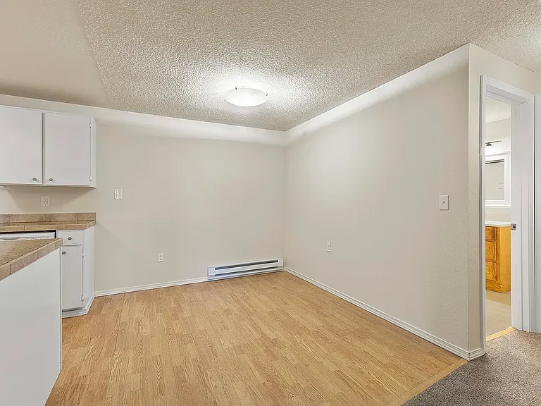 1150 Sunset Blvd NE #311 — Photo 6