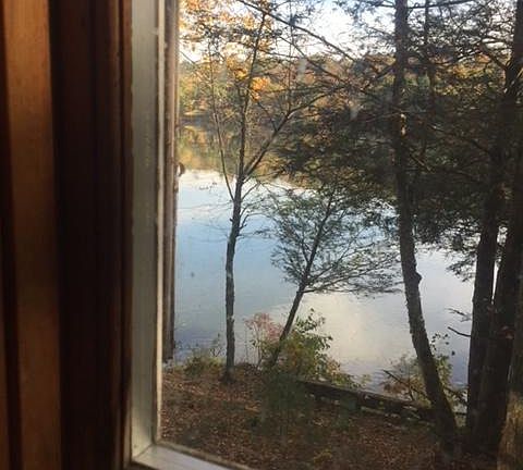 View from kitchen window
