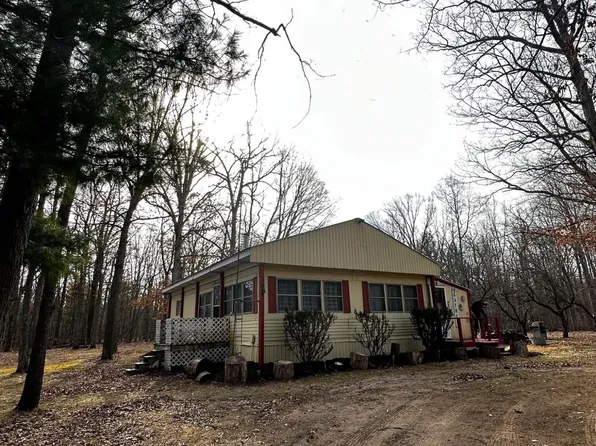 11384 N Irons Rd, Irons, MI 49644