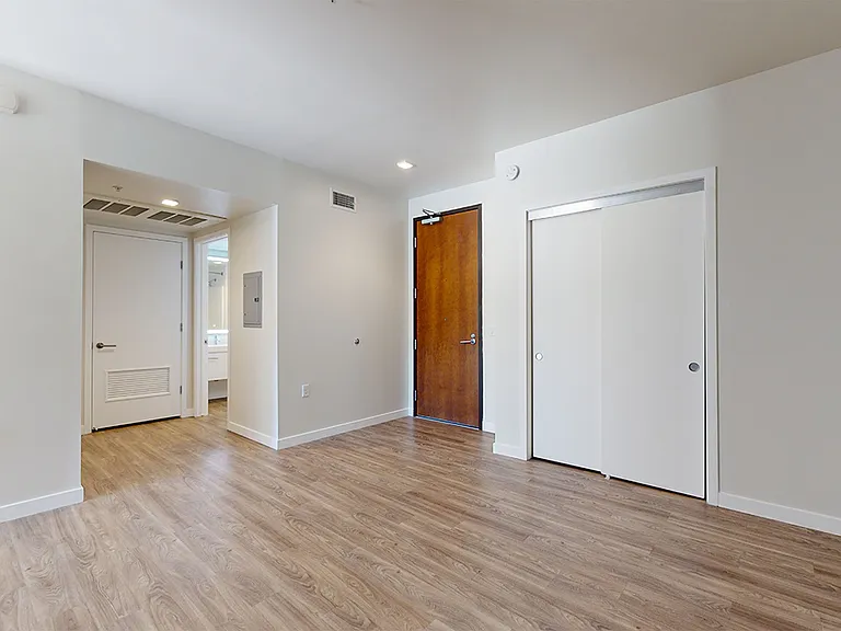Apartment living room with wood-style flooring.