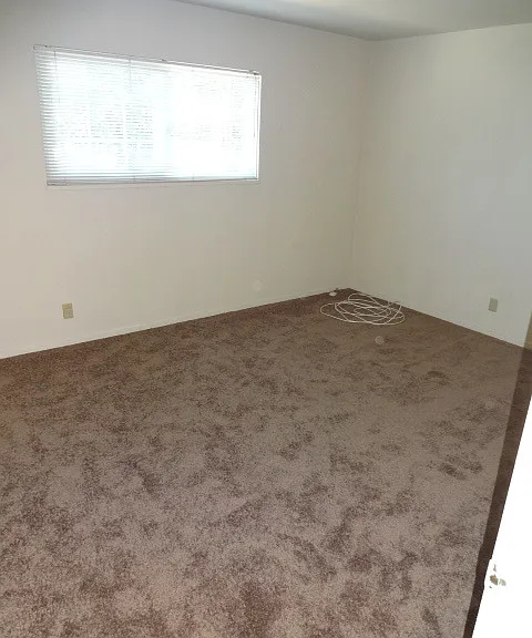 4209 Horgan Way — Photo 15