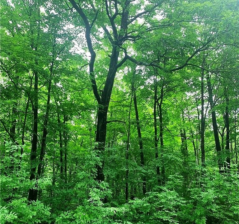 1st image of 00 Nail Creek Road