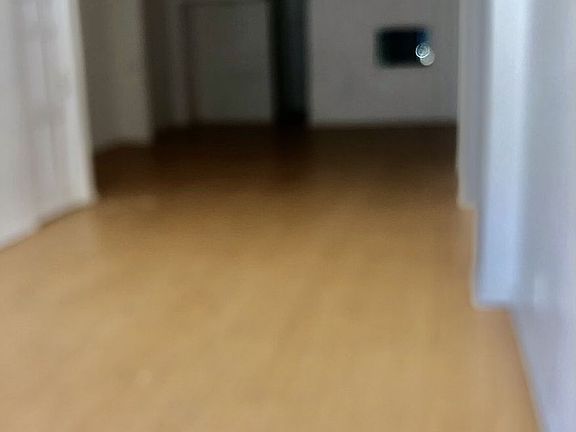 2nd image of 1623 Nostrand Ave #1
