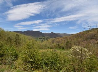 762 Carver Cove Rd, Canton, NC 28716