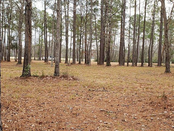 5th image of 876 Southern Plantation Drive N LOT 214