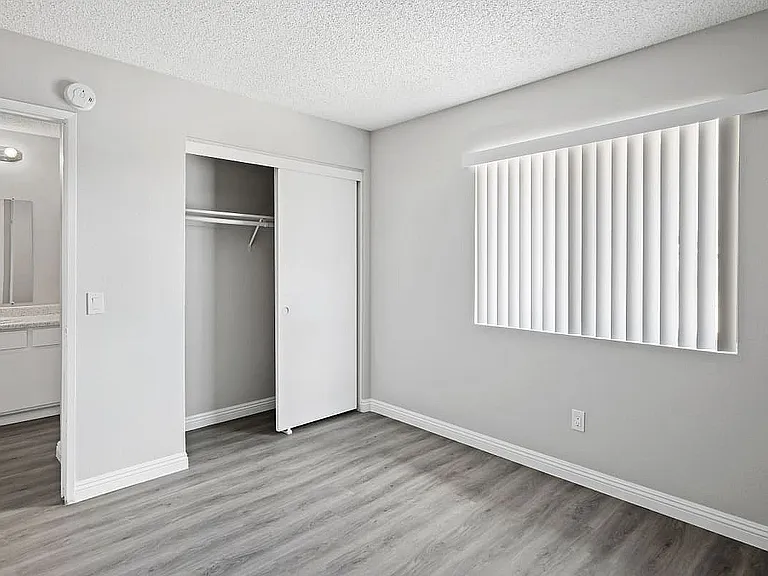 Bedroom and Closet Space