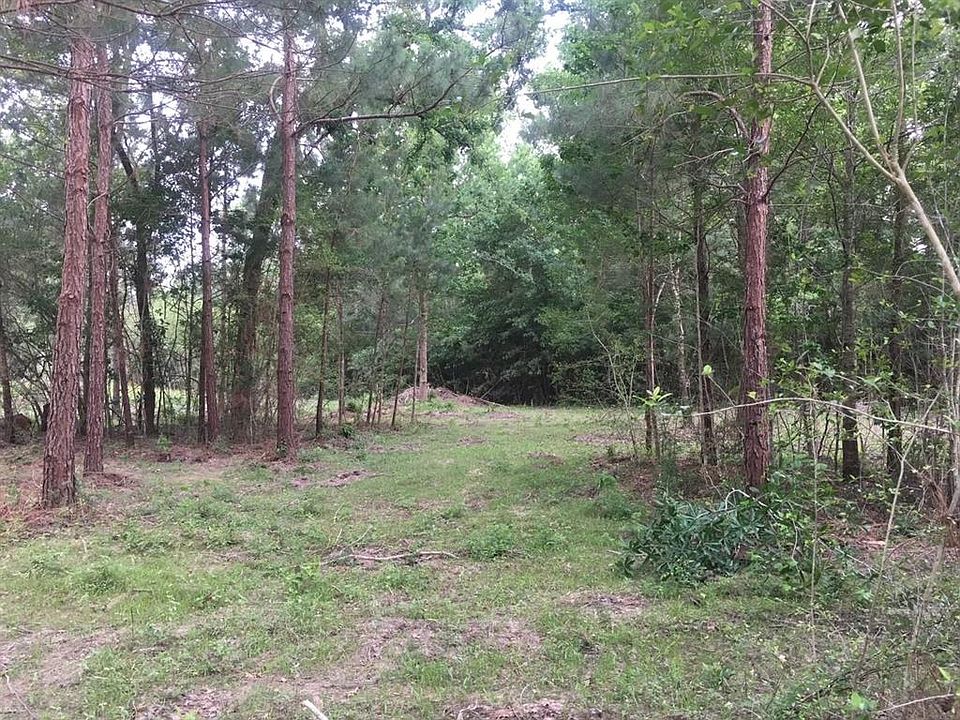 26170 Grand Pines Rd, Magnolia, TX 77355 | MLS #64708704 | Zillow