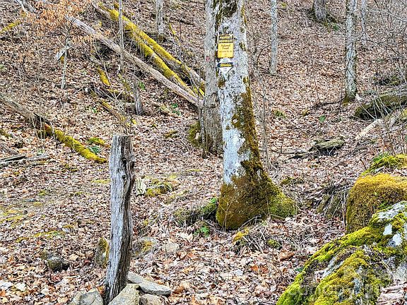 4th image of 254 Ray Mine Rd