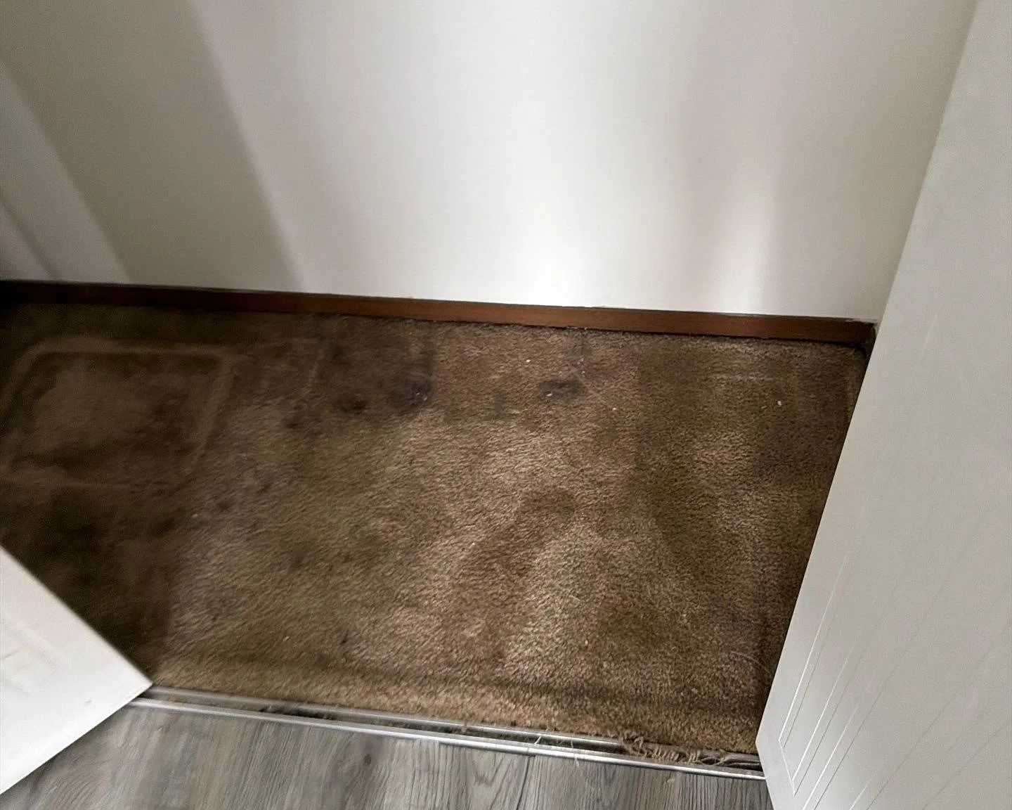 1 bed, 495 sqft, $720 — Photo 3