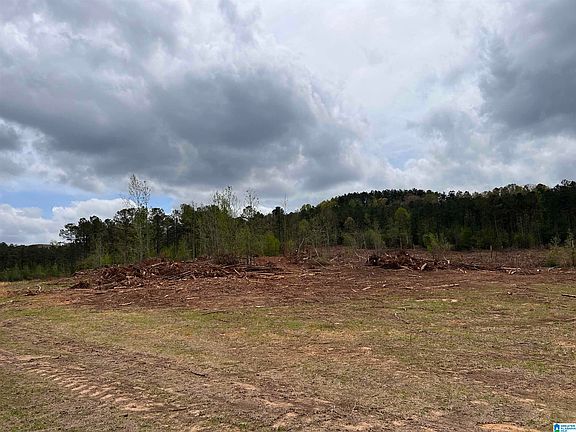5th image of 1056 County Road 51 #1