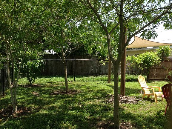 Trees are only 3 years  old!