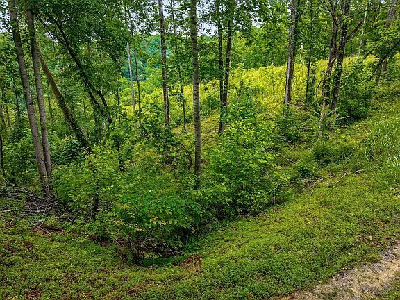 5th image of 0 Knowles Ln