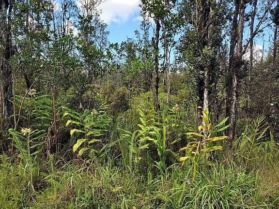 3rd image of Road 7 Opeapea Lot 4601