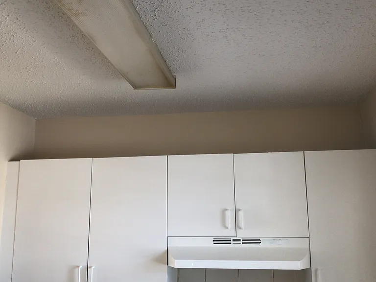 kitchen cabinet