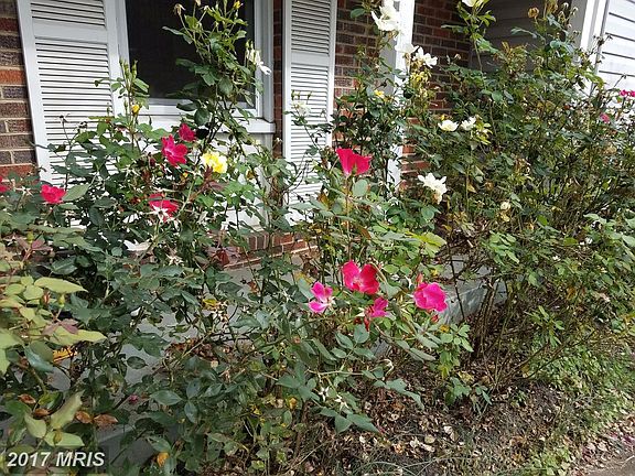 3rd image of 412 Appletree Dr NE