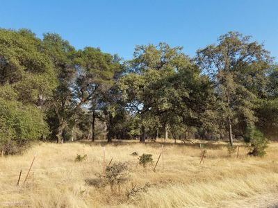 10881 China Ct, Penn Valley, CA, 95946