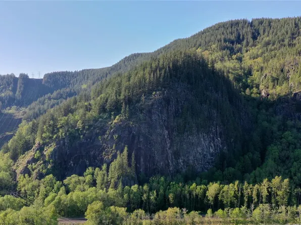 49235 Reiter Road, Index, WA 98256