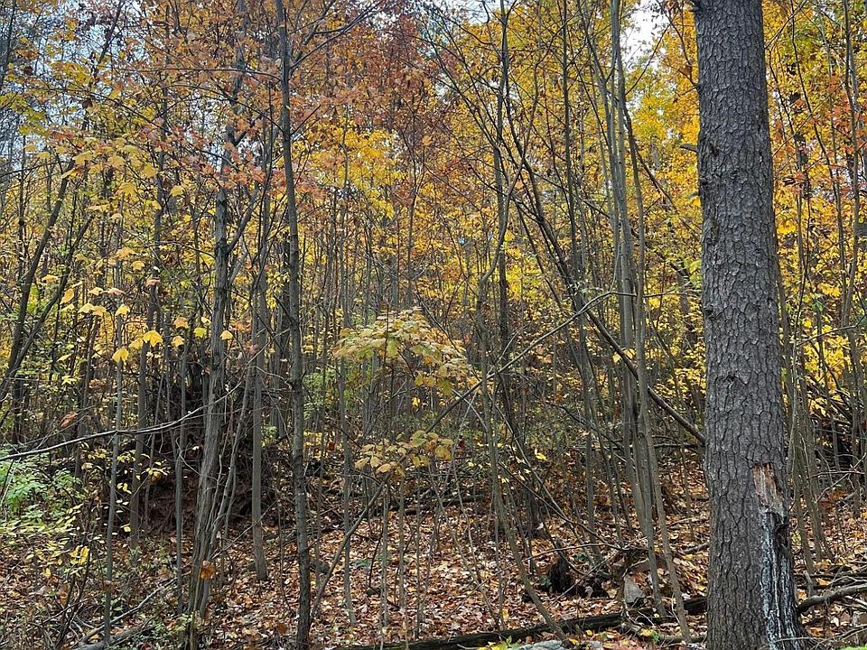 2nd image of Mountain Rd